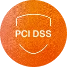 PCI DSS